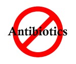 Antibiotics and food safety