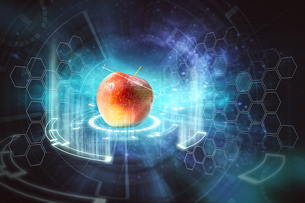 Technology, apple, Birko