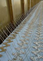 Bird spikes, Aviaway