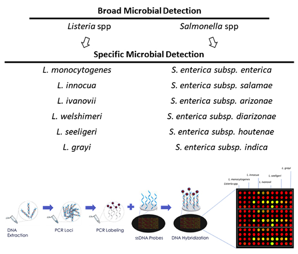 Broad Microbial Detection
