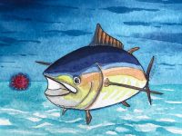 Tuna, food fraud