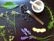 Food fraud, gin, ingredients, botanicals