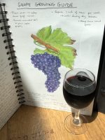 Food fraud, Bordeaux, wine