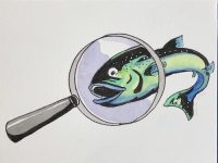 Food fraud, fish