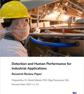 Detection and Human Performance for Industrial Applications
