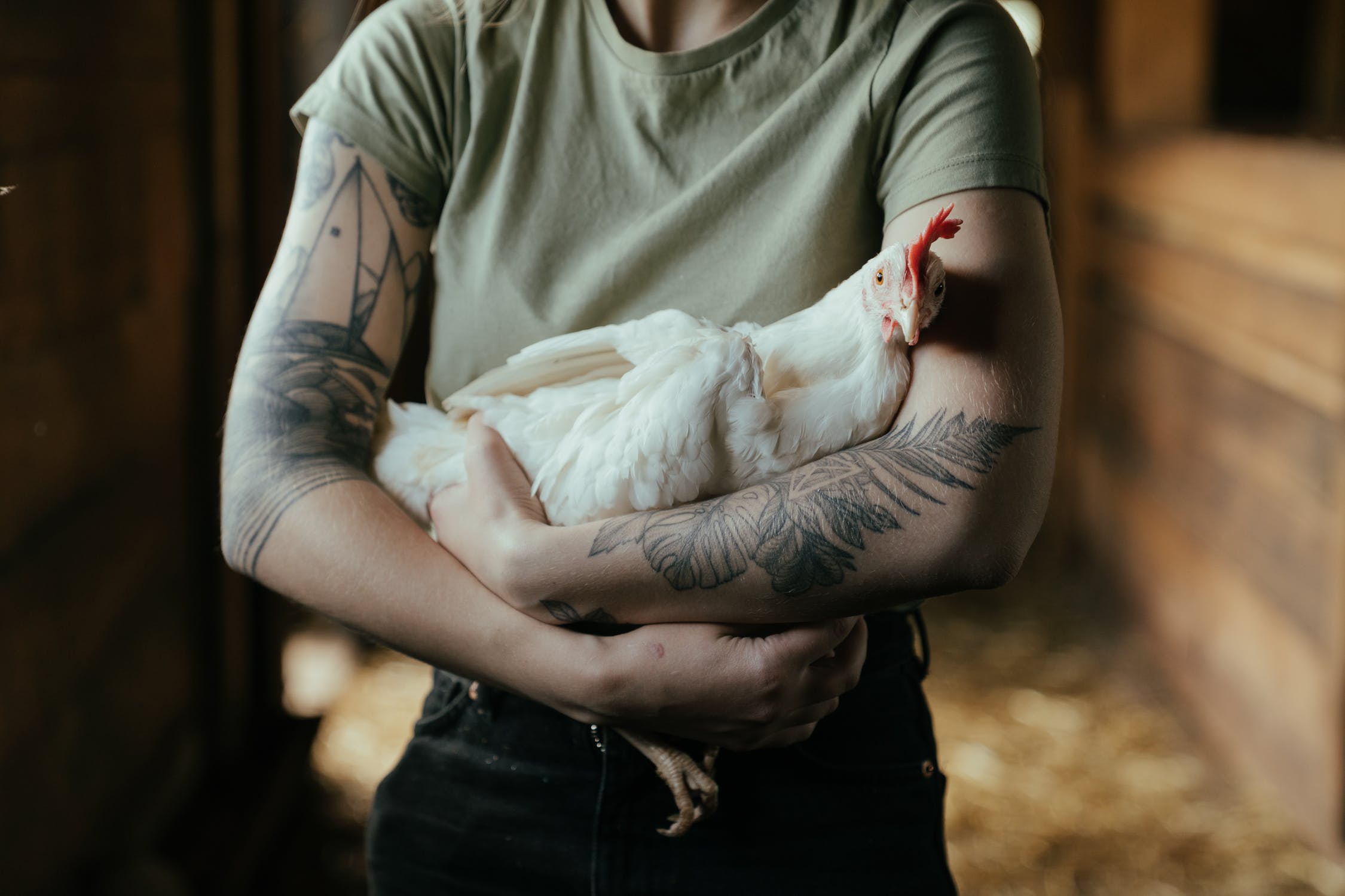 Poulty Farmer
