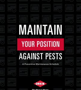 Maintain Your Position Against Pests