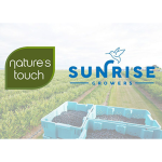 Nature's Touch Acquisition Logo image